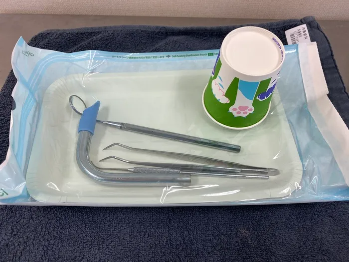 基本セットの滅菌