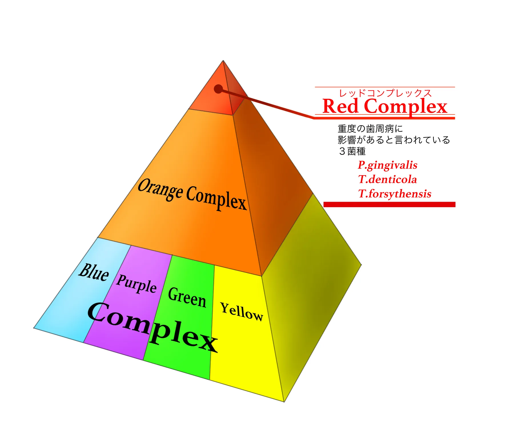 インプラント周囲炎とレッドコンプレックス