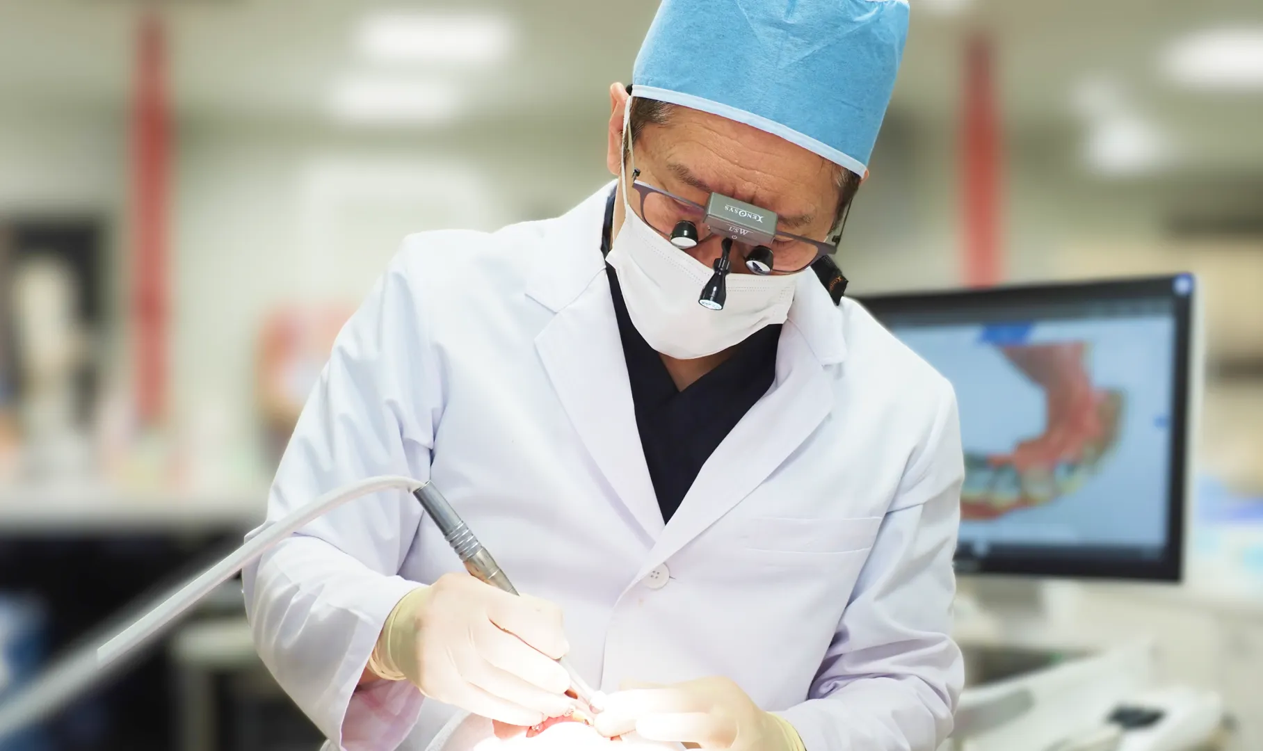 フォトギャラリー